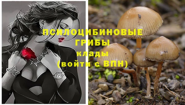 мет Бородино