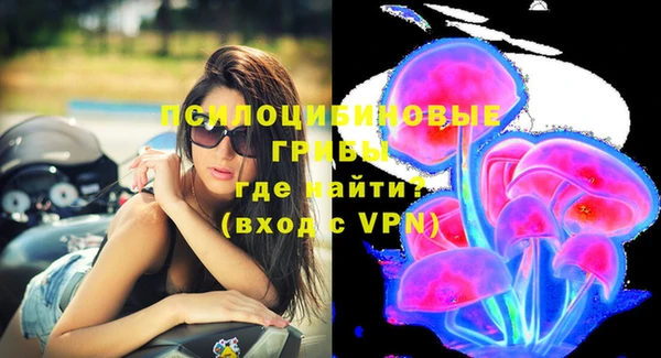 не бодяженный Белокуриха