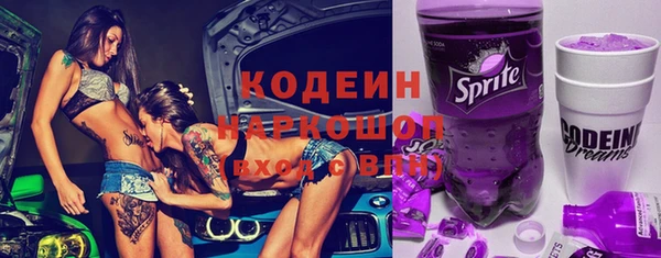 прущие грибы Гвардейск