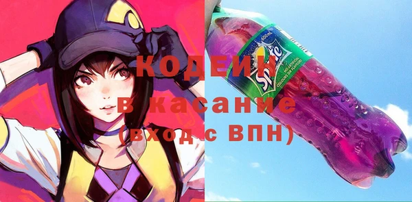 шишки Гатчина