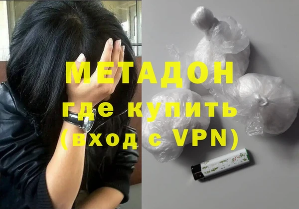 прущие грибы Гвардейск