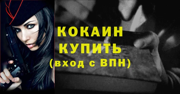 мет Бородино