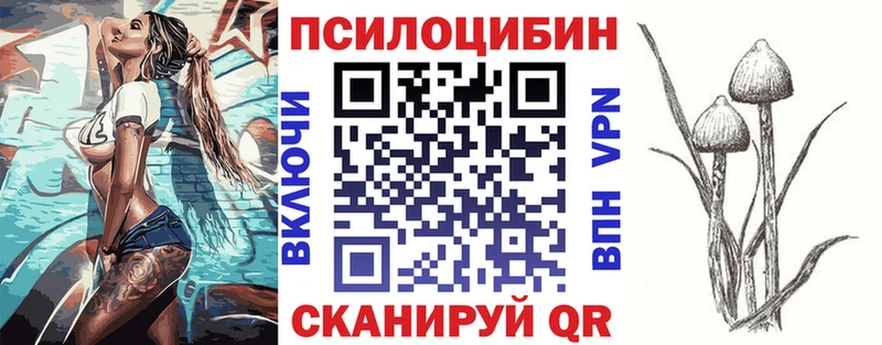 дарнет шоп  Гулькевичи  Галлюциногенные грибы ЛСД 